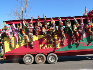 Traditionally costumed revelers arrive in Iota, La. Credit:: Wendy Lemlin