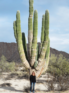 This is one big cactus!