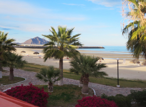 A view of the beach from the patio of my room at San Felipe Marina Resort & Spa.