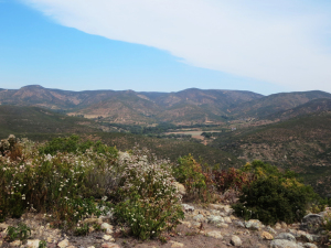 The hills are alive on the way to Hacienda El Capricho