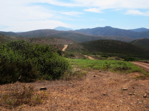 The road to Hacienda El Capricho