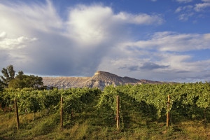 Grand Junction is the epicenter of Colorado Wine Country